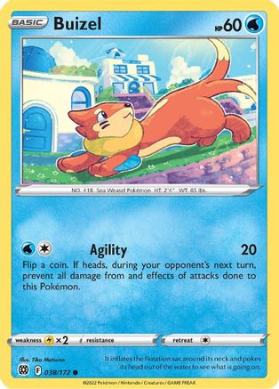 Buizel 038/172  SWSH09 Brilliant Stars - Common